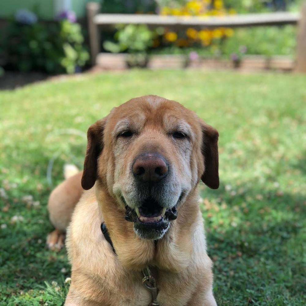 Meet your Posher, Tara